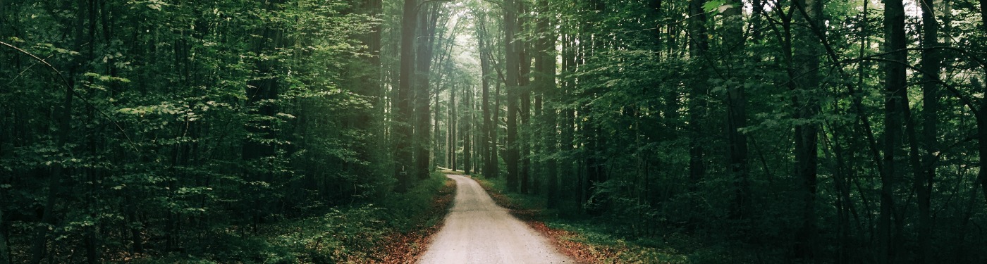 counseling white plains ny